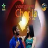 About Chorila Gela Dil Song